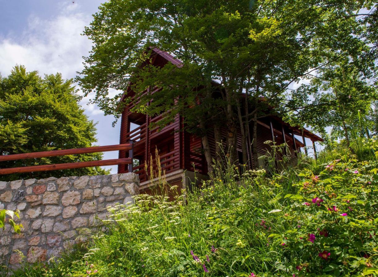 D&S Kovacevic Apartments Zabljak Exteriér fotografie